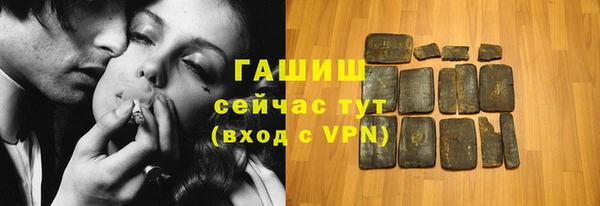 гидра Богородск