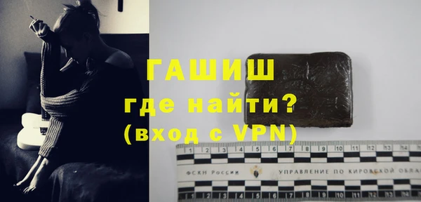 гидра Богородск