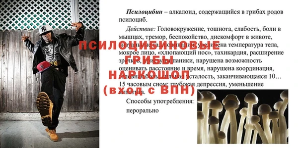 мескалин Богородицк