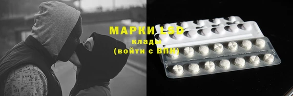 мяу мяу кристалл Богданович