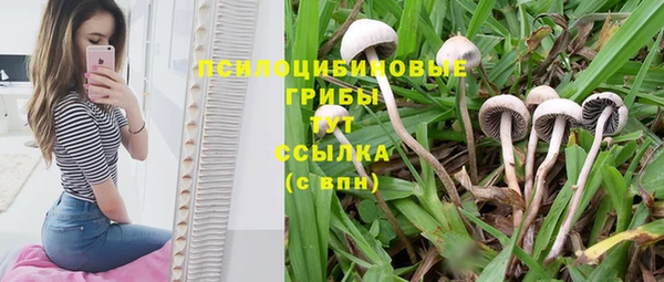 гидра Богородск