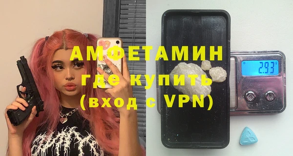 гидра Богородск