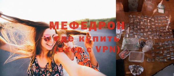 гидра Богородск
