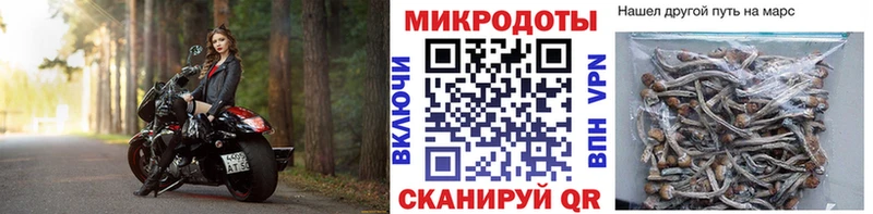 это состав  Гусев  Галлюциногенные грибы Psilocybine cubensis 